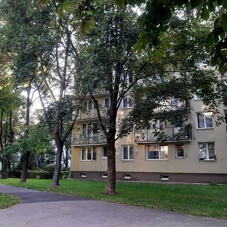 Apartament Luxury Business Saska Kepa Lägenhet Warszawa Exteriör bild